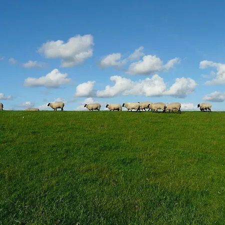 Διαμέρισμα An Bord Varel